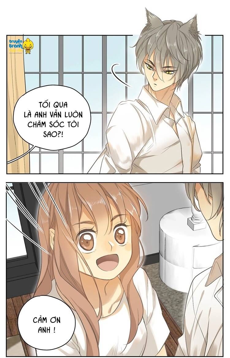 Cứu mạng ! Loài mèo thống trị thế giới rồi !: Chapter 16