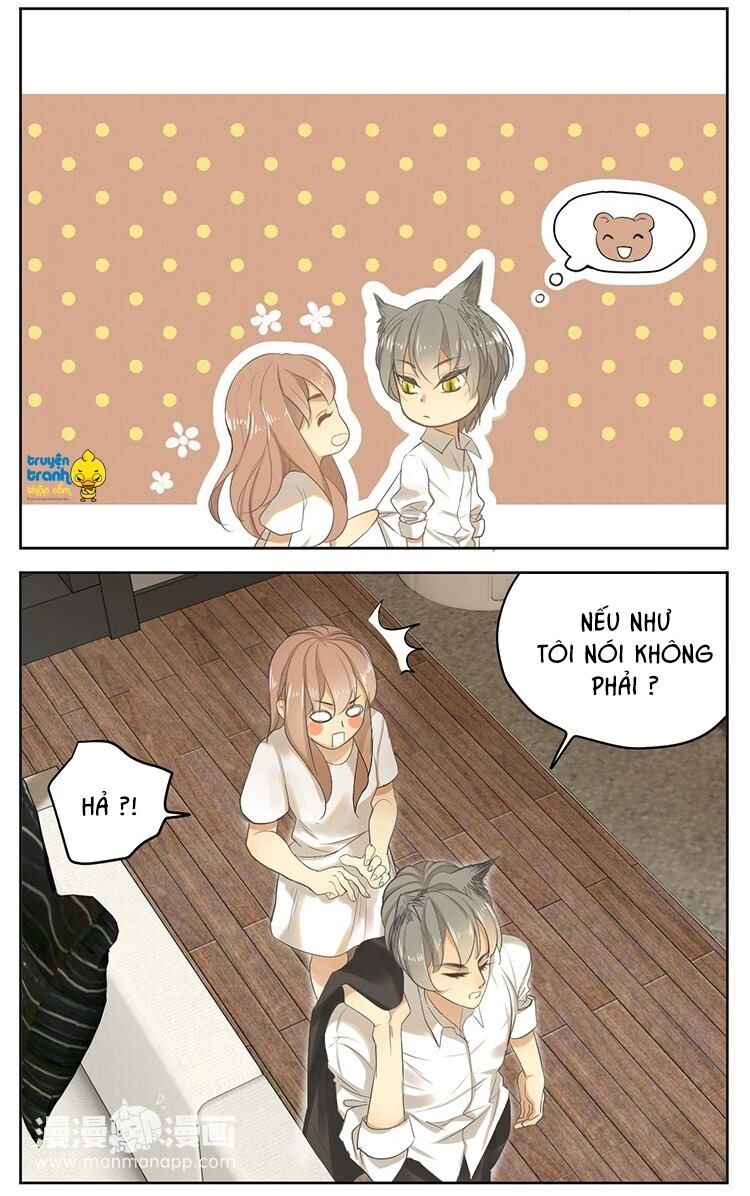 Cứu mạng ! Loài mèo thống trị thế giới rồi !: Chapter 16