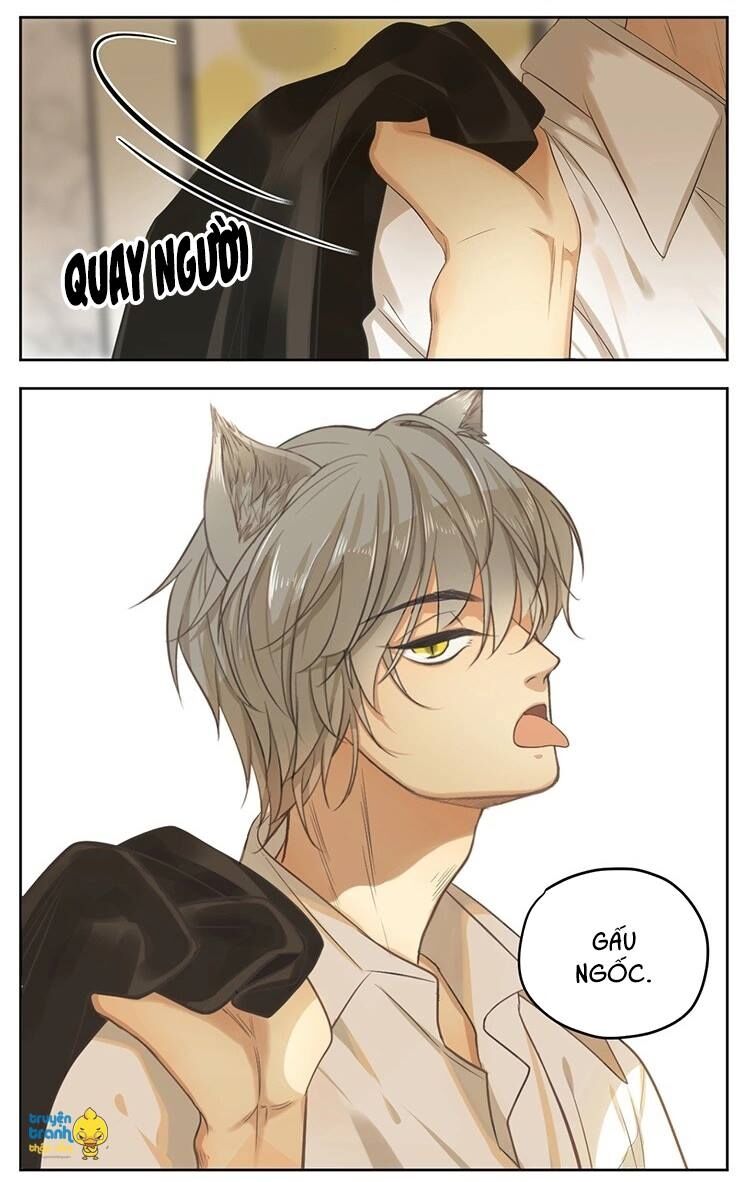 Cứu mạng ! Loài mèo thống trị thế giới rồi !: Chapter 16