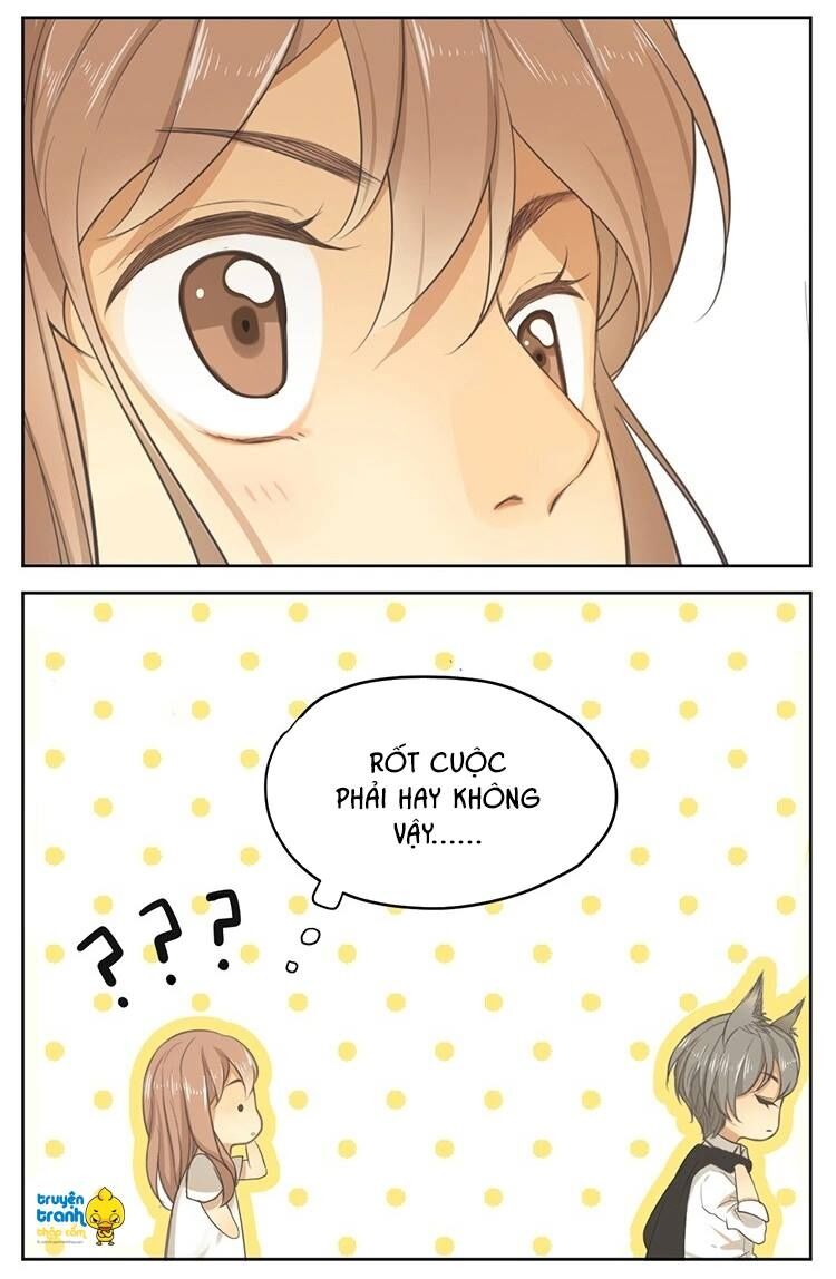 Cứu mạng ! Loài mèo thống trị thế giới rồi !: Chapter 16