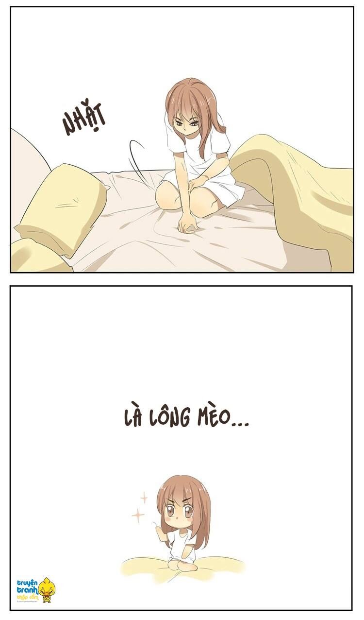 Cứu mạng ! Loài mèo thống trị thế giới rồi !: Chapter 16