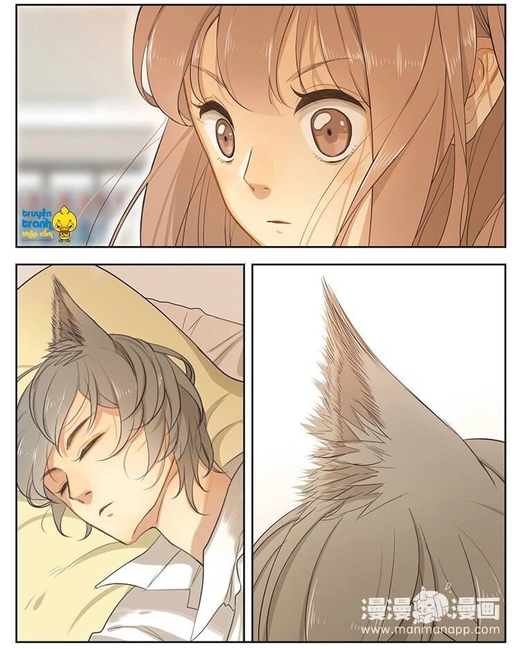 Cứu mạng ! Loài mèo thống trị thế giới rồi !: Chapter 16