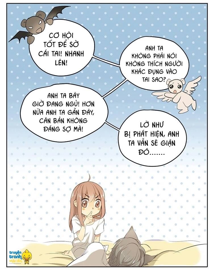 Cứu mạng ! Loài mèo thống trị thế giới rồi !: Chapter 16