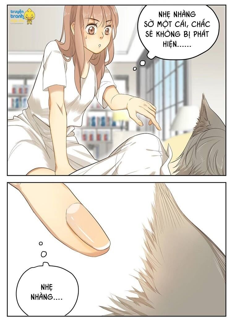 Cứu mạng ! Loài mèo thống trị thế giới rồi !: Chapter 16