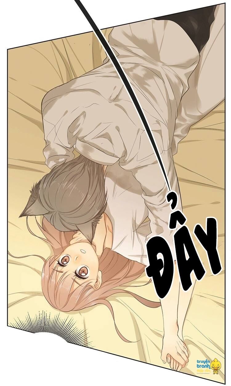 Cứu mạng ! Loài mèo thống trị thế giới rồi !: Chapter 16