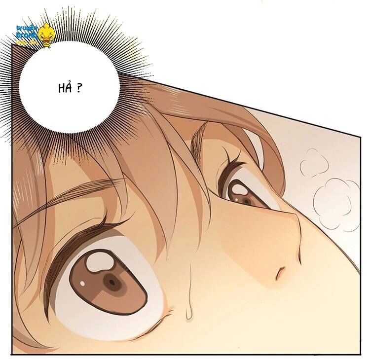 Cứu mạng ! Loài mèo thống trị thế giới rồi !: Chapter 16