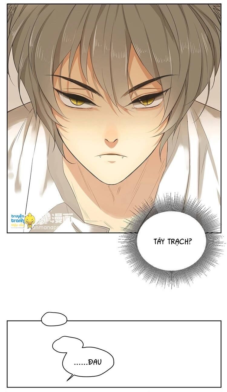 Cứu mạng ! Loài mèo thống trị thế giới rồi !: Chapter 16