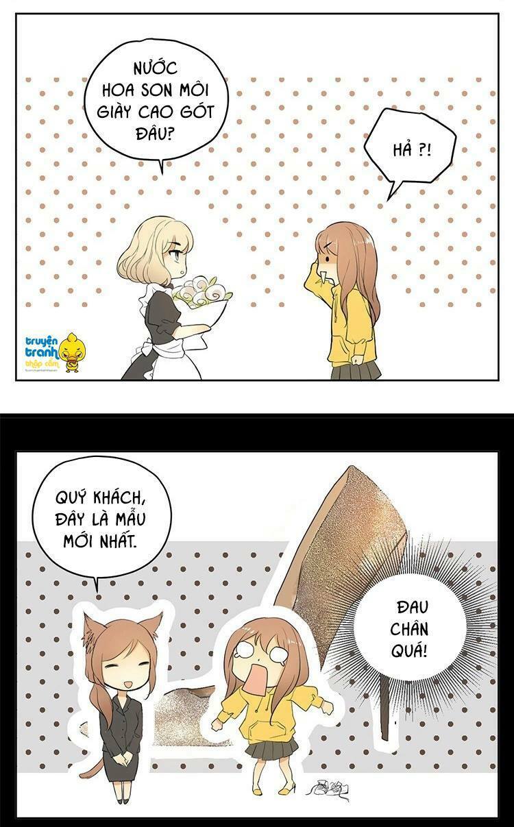 Cứu mạng ! Loài mèo thống trị thế giới rồi !: Chapter 17