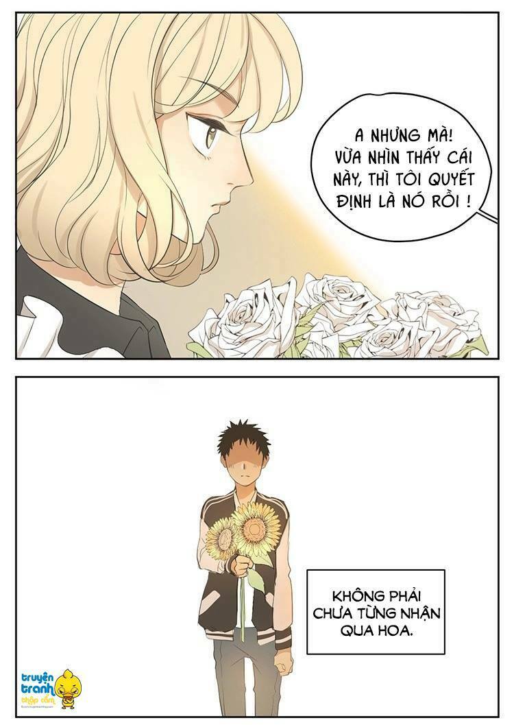 Cứu mạng ! Loài mèo thống trị thế giới rồi !: Chapter 17