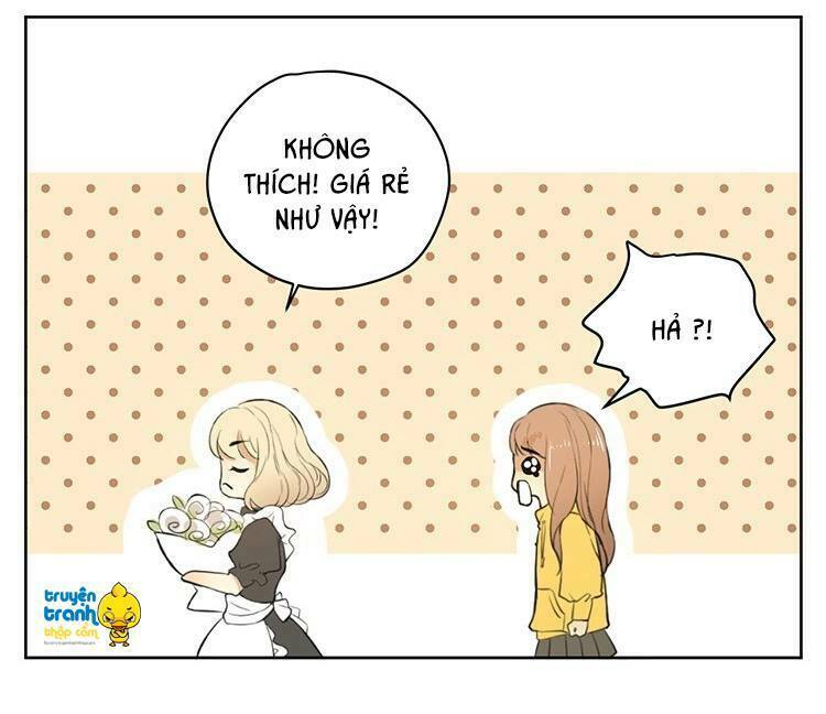 Cứu mạng ! Loài mèo thống trị thế giới rồi !: Chapter 17