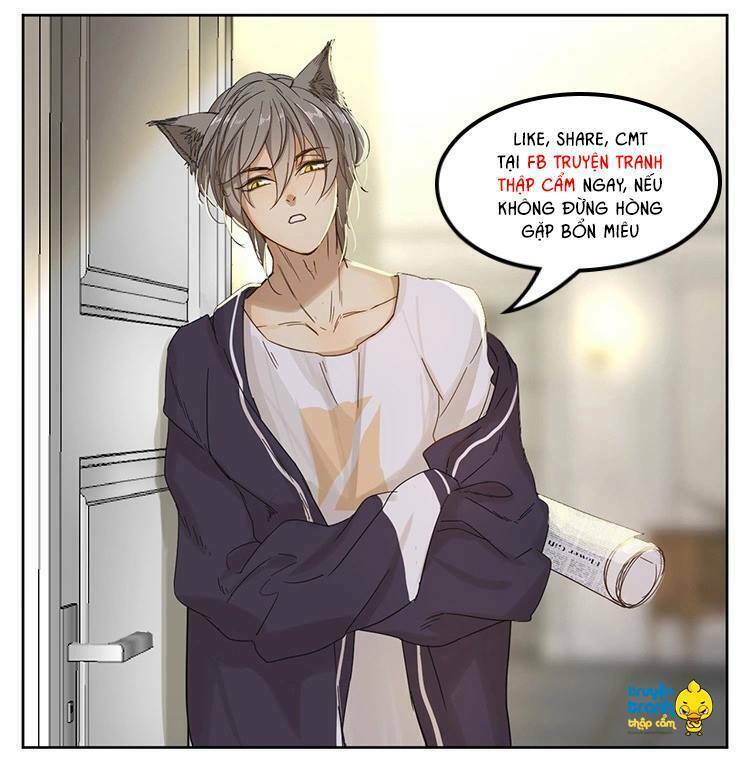 Cứu mạng ! Loài mèo thống trị thế giới rồi !: Chapter 17