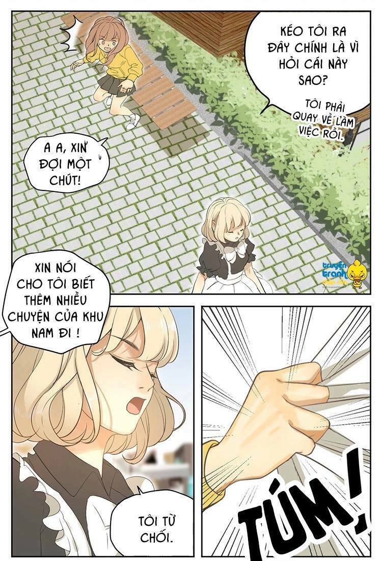 Cứu mạng ! Loài mèo thống trị thế giới rồi !: Chapter 17