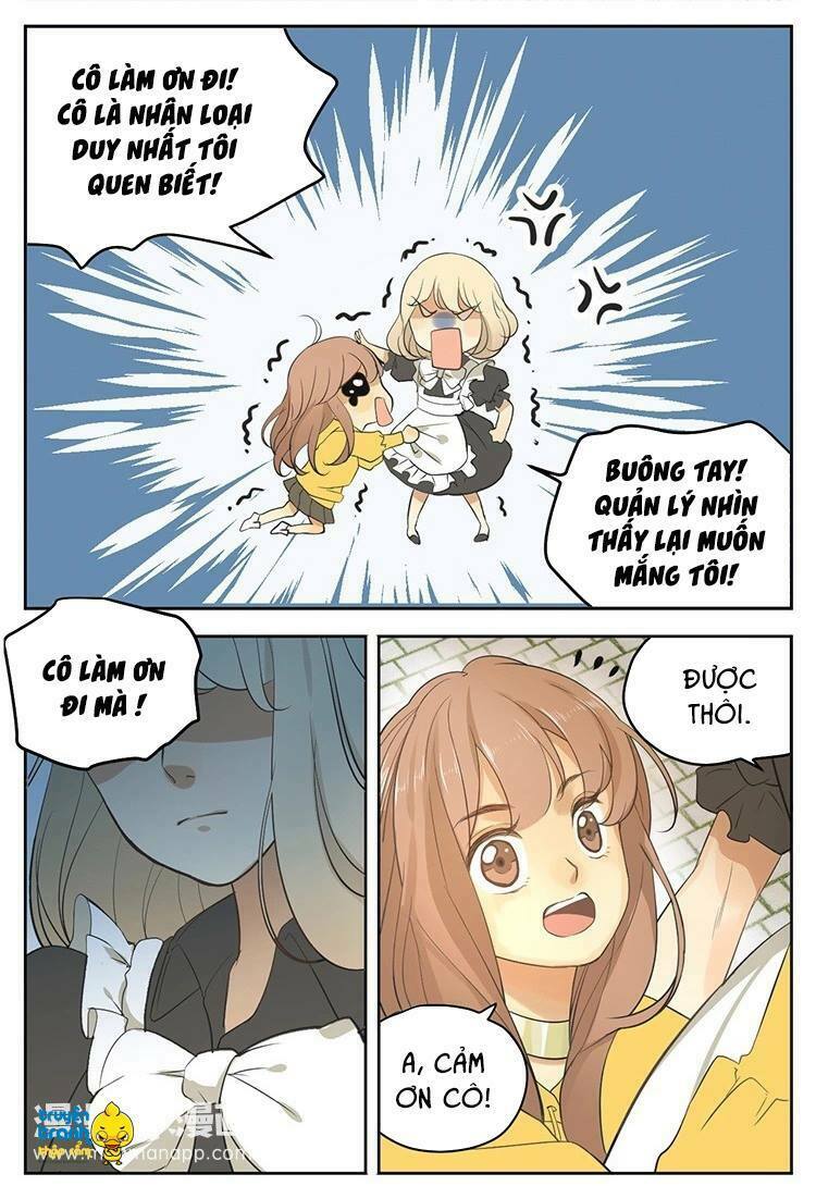 Cứu mạng ! Loài mèo thống trị thế giới rồi !: Chapter 17