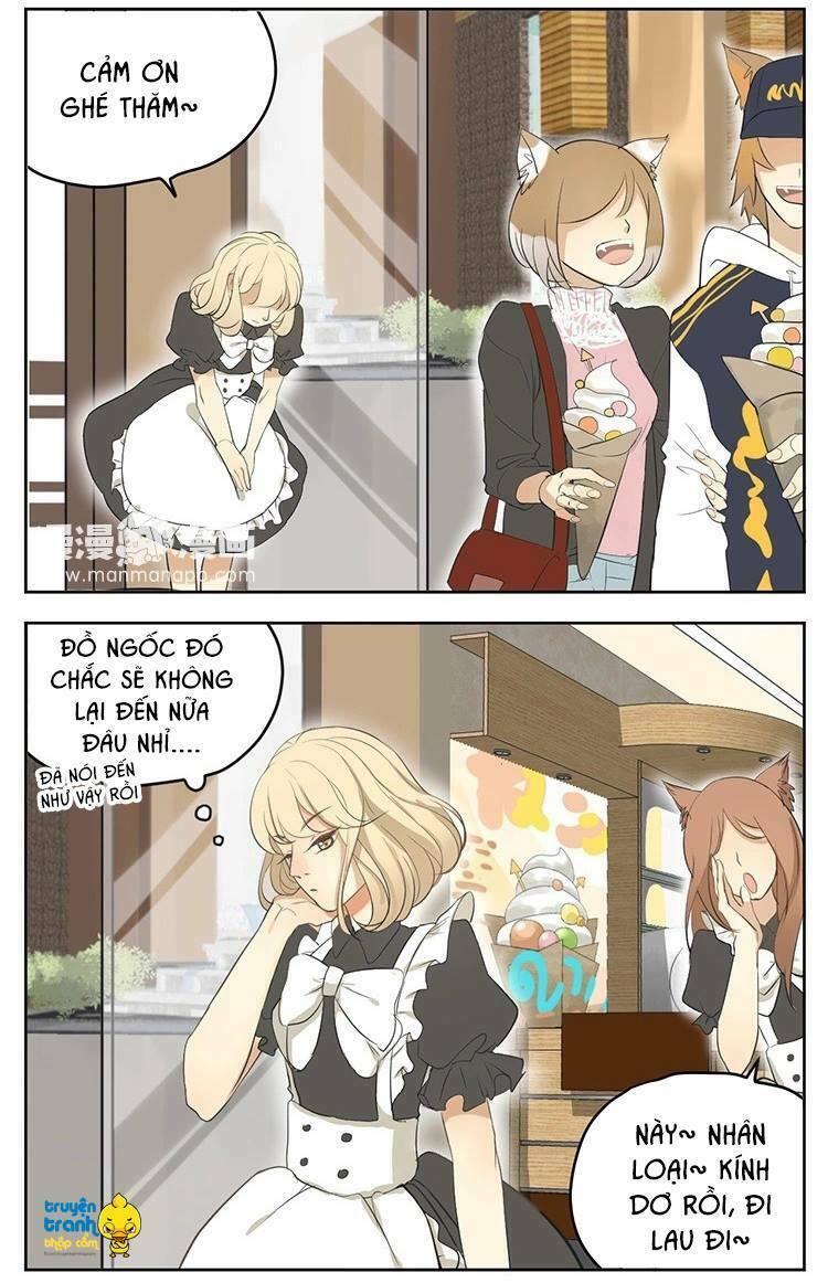 Cứu mạng ! Loài mèo thống trị thế giới rồi !: Chapter 17