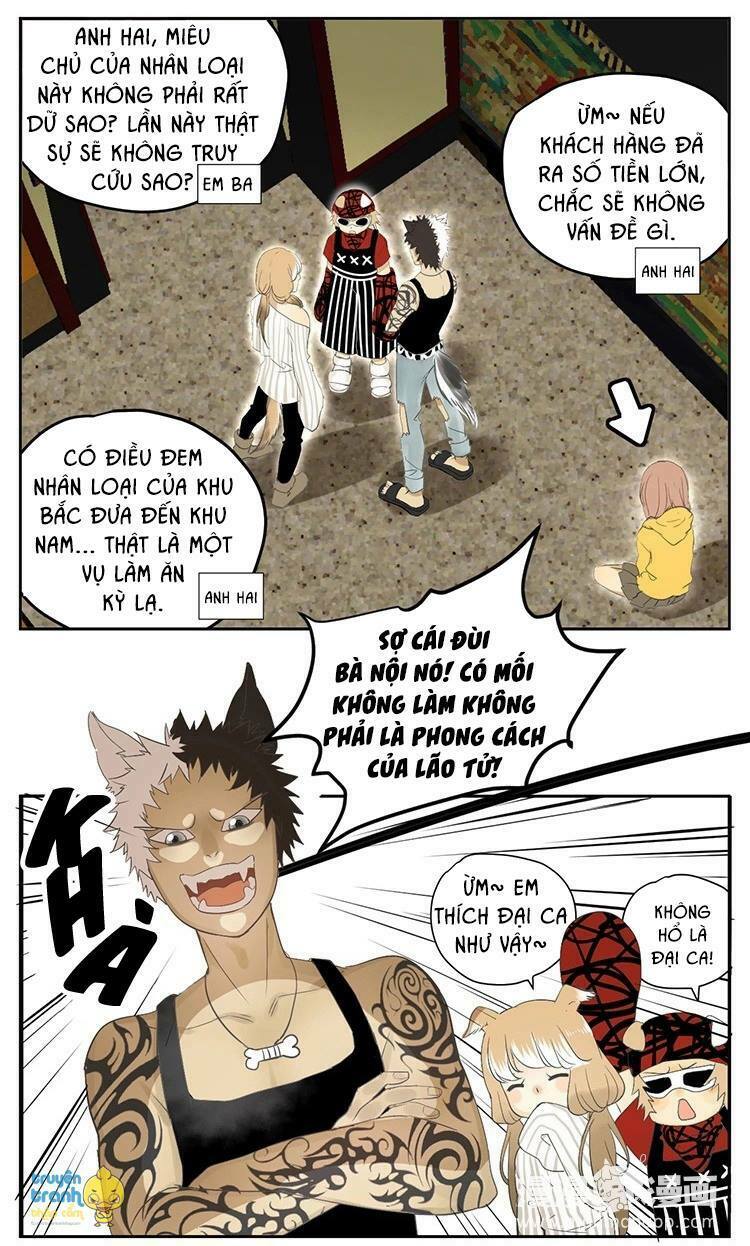 Cứu mạng ! Loài mèo thống trị thế giới rồi !: Chapter 18