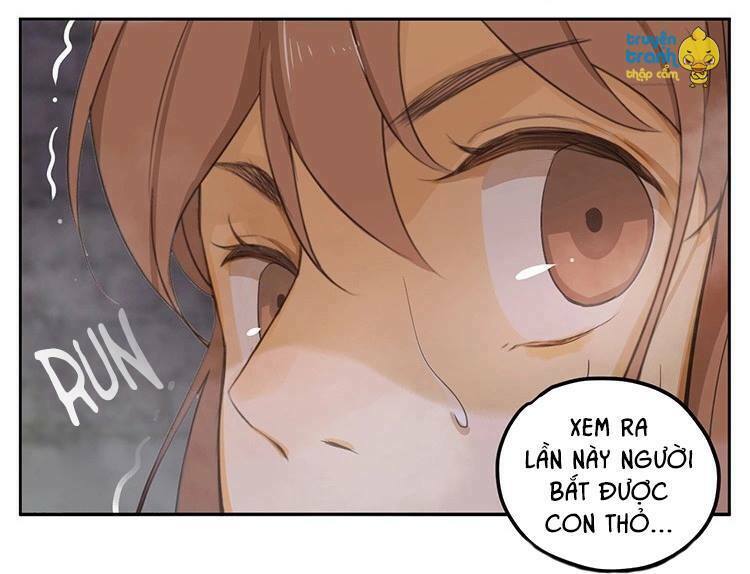 Cứu mạng ! Loài mèo thống trị thế giới rồi !: Chapter 18