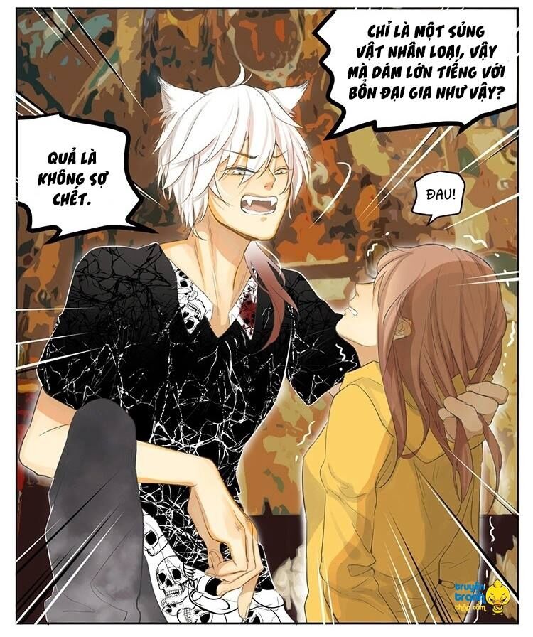 Cứu mạng ! Loài mèo thống trị thế giới rồi !: Chapter 19