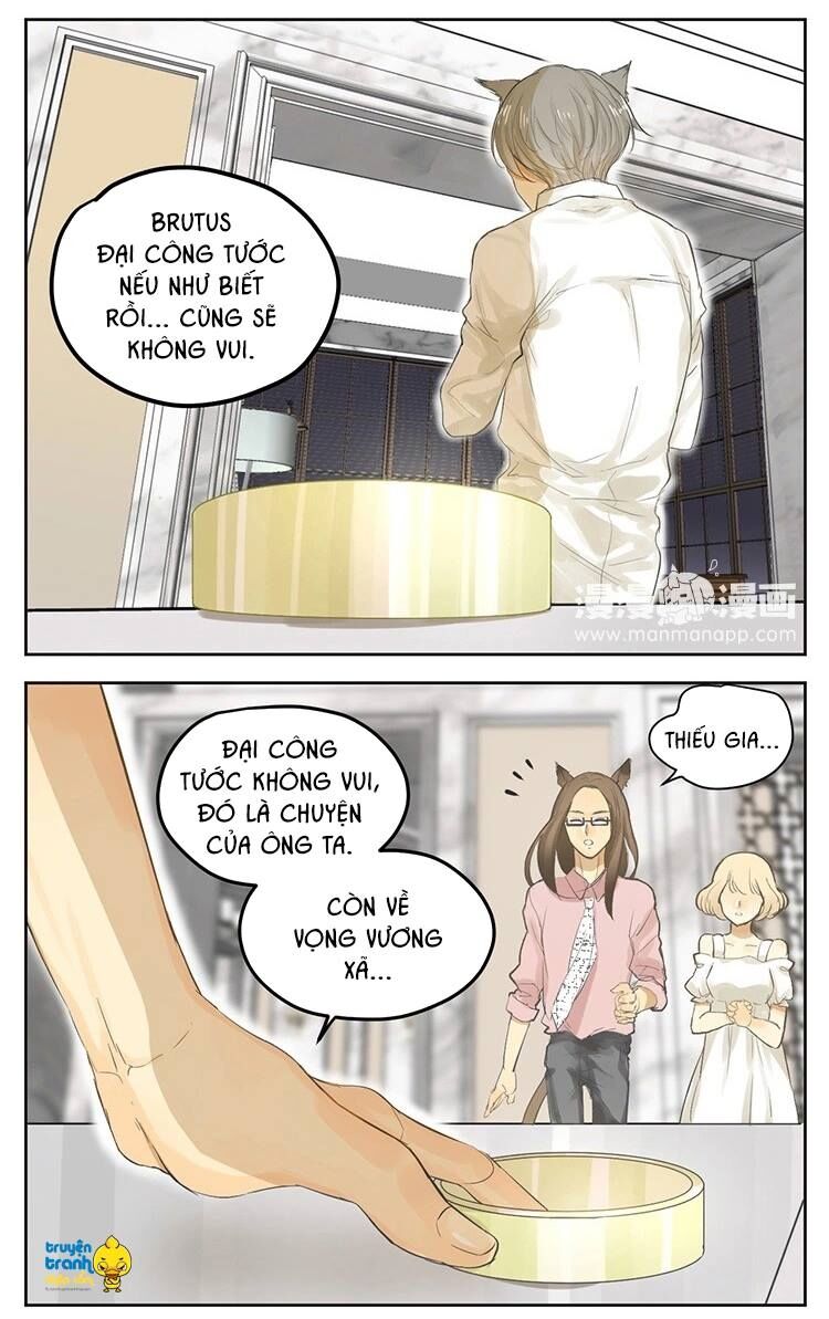 Cứu mạng ! Loài mèo thống trị thế giới rồi !: Chapter 19