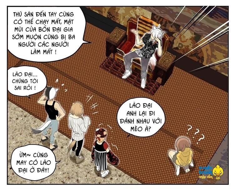 Cứu mạng ! Loài mèo thống trị thế giới rồi !: Chapter 19