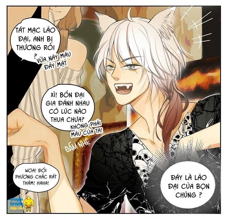 Cứu mạng ! Loài mèo thống trị thế giới rồi !: Chapter 19