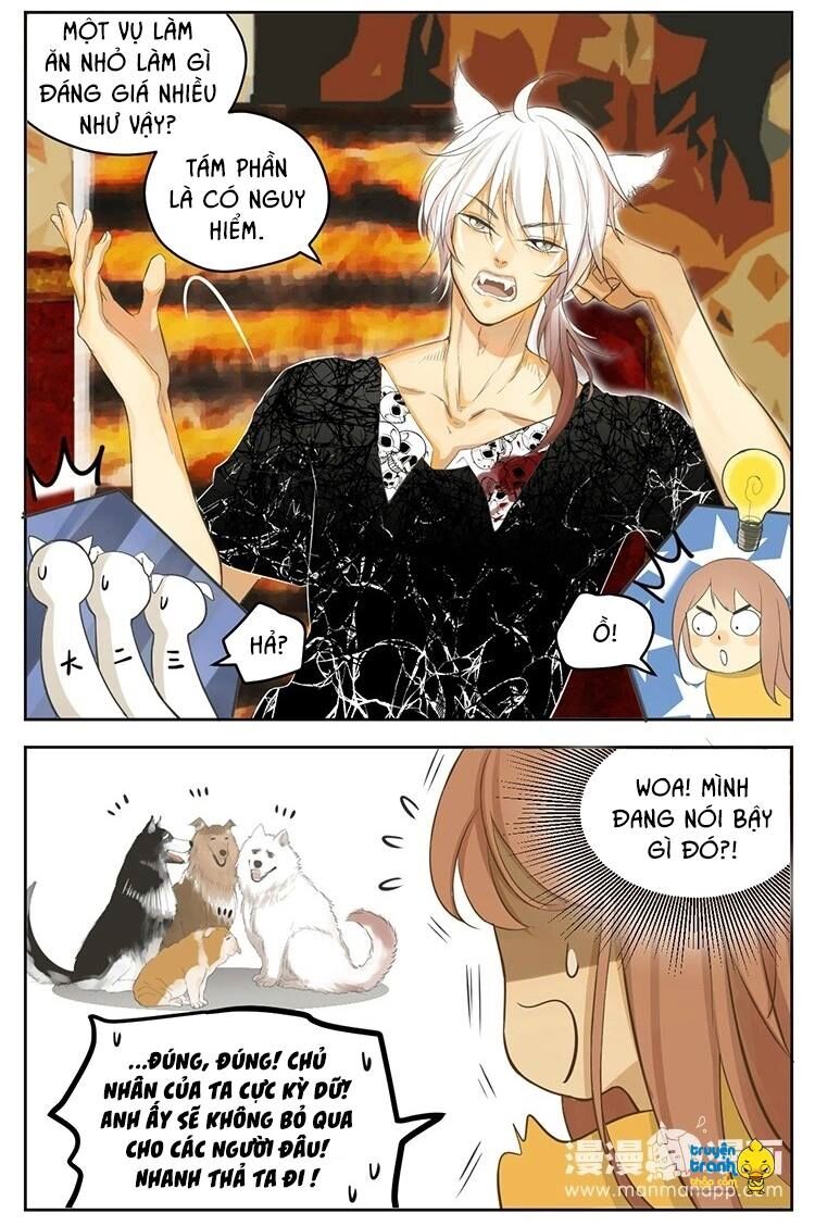 Cứu mạng ! Loài mèo thống trị thế giới rồi !: Chapter 19