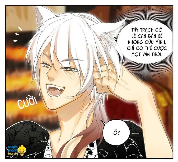 Cứu mạng ! Loài mèo thống trị thế giới rồi !: Chapter 19