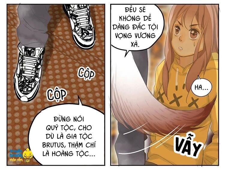 Cứu mạng ! Loài mèo thống trị thế giới rồi !: Chapter 19