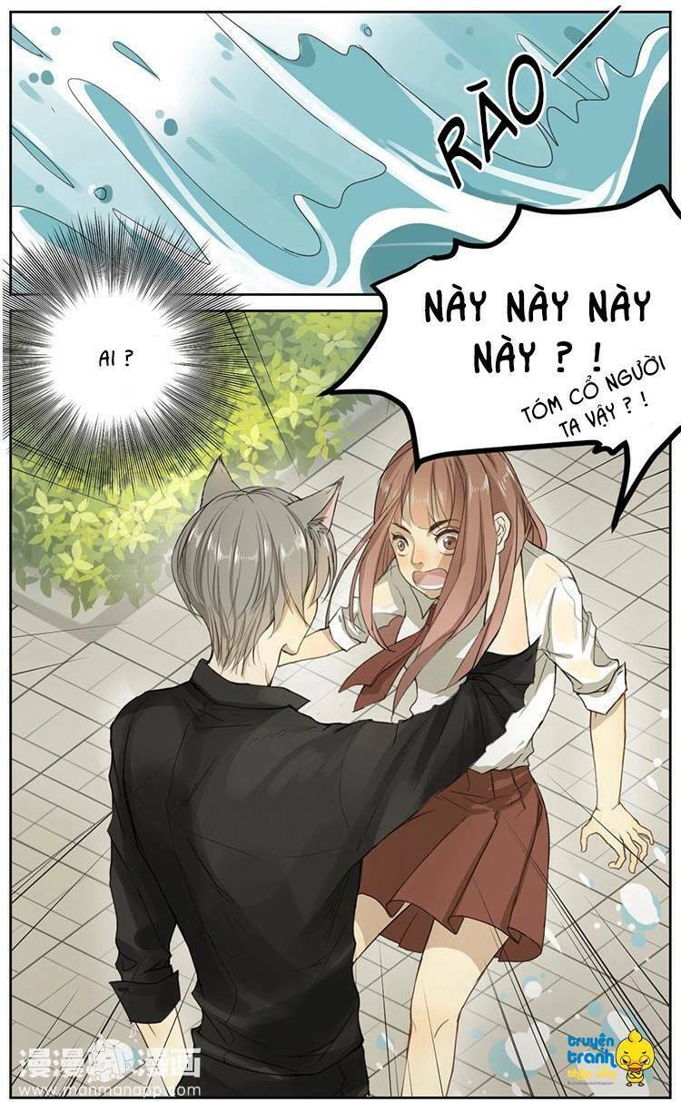 Cứu mạng ! Loài mèo thống trị thế giới rồi !: Chapter 2