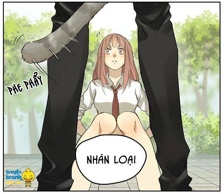 Cứu mạng ! Loài mèo thống trị thế giới rồi !: Chapter 2