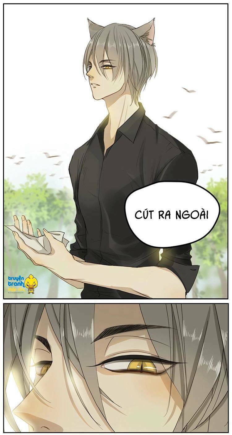 Cứu mạng ! Loài mèo thống trị thế giới rồi !: Chapter 2