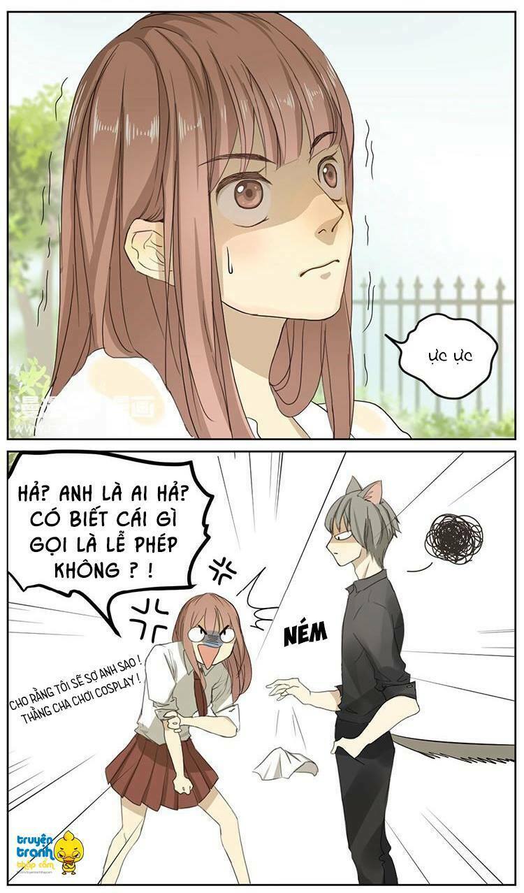 Cứu mạng ! Loài mèo thống trị thế giới rồi !: Chapter 2