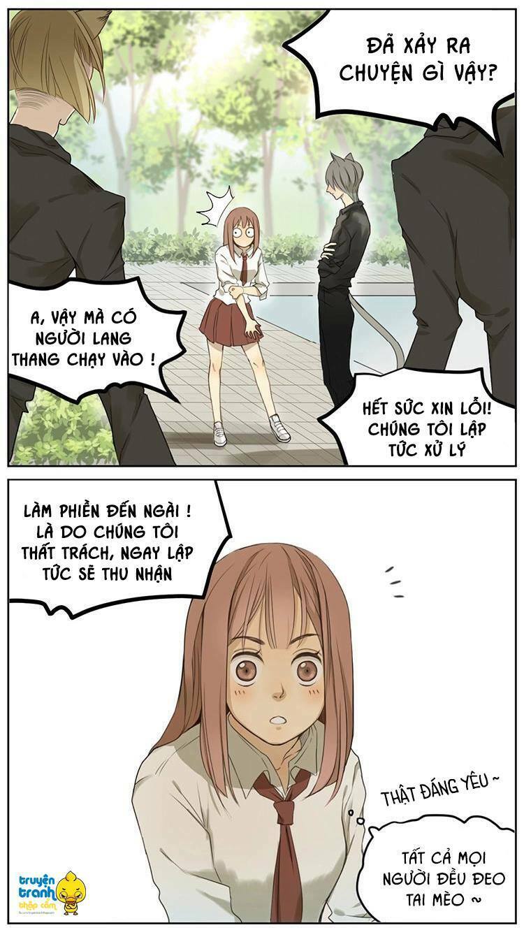 Cứu mạng ! Loài mèo thống trị thế giới rồi !: Chapter 2