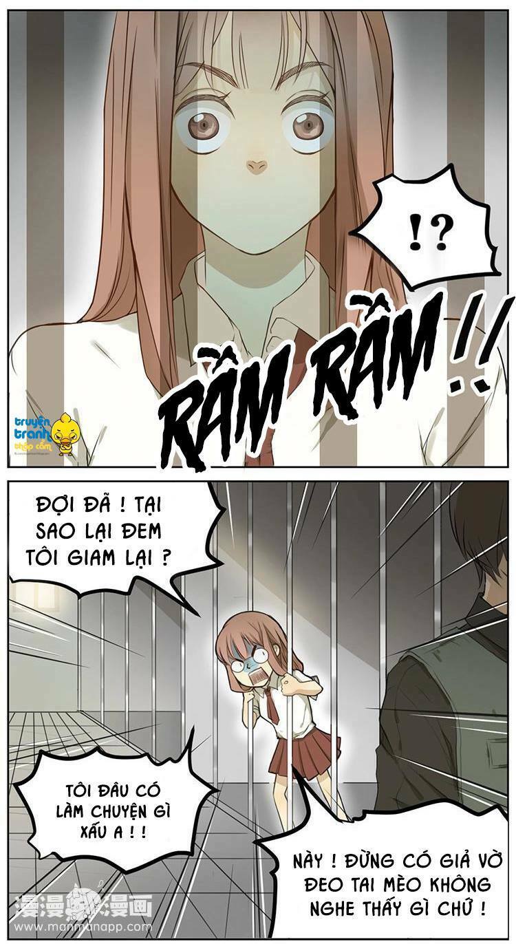 Cứu mạng ! Loài mèo thống trị thế giới rồi !: Chapter 2