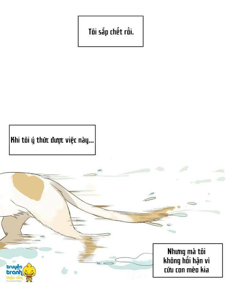 Cứu mạng ! Loài mèo thống trị thế giới rồi !: Chapter 2