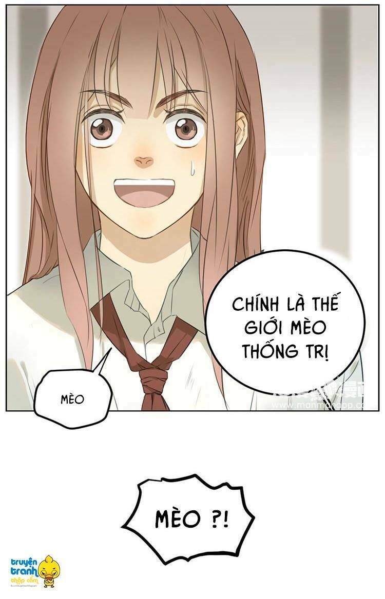 Cứu mạng ! Loài mèo thống trị thế giới rồi !: Chapter 2