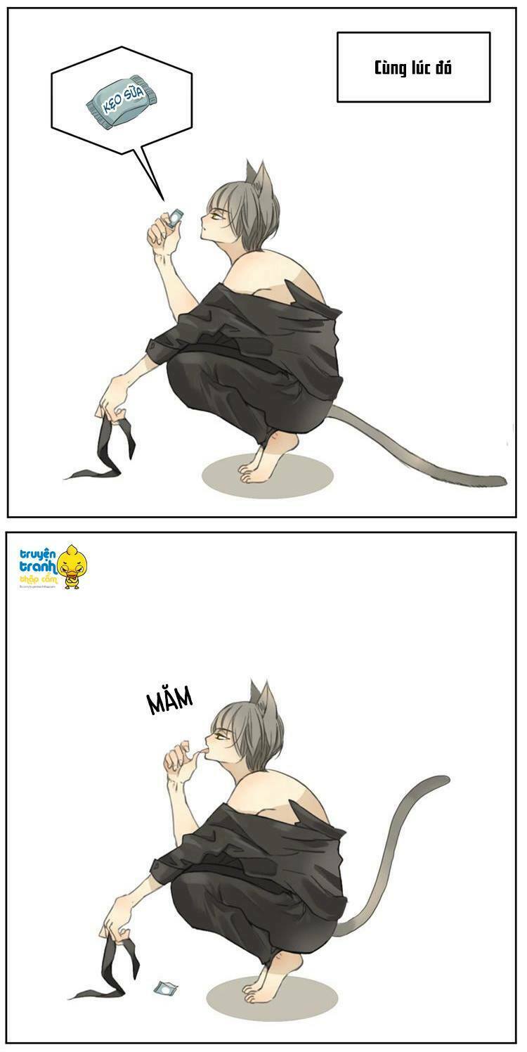 Cứu mạng ! Loài mèo thống trị thế giới rồi !: Chapter 2