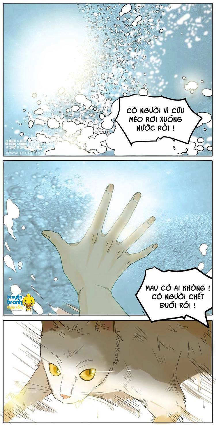 Cứu mạng ! Loài mèo thống trị thế giới rồi !: Chapter 2