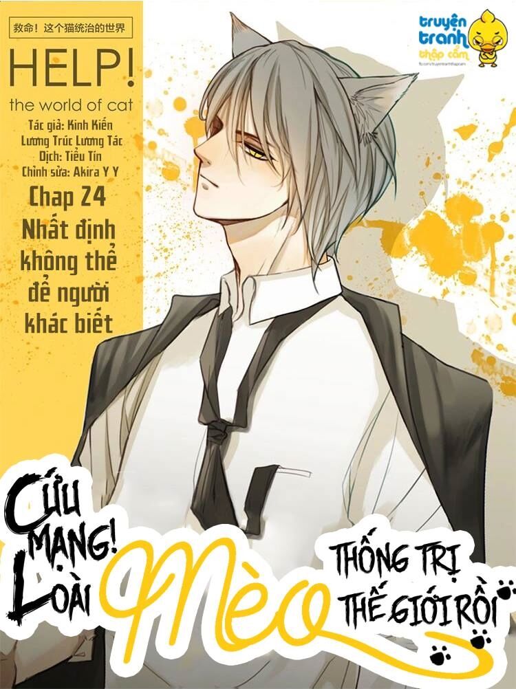 Cứu mạng ! Loài mèo thống trị thế giới rồi !: Chapter 24
