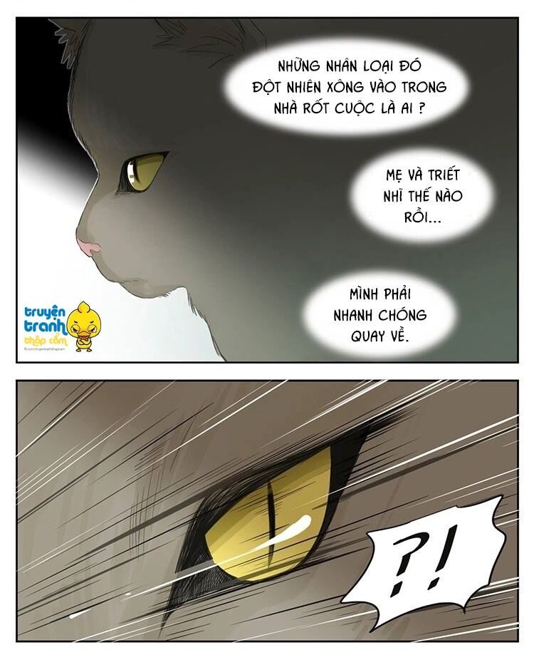 Cứu mạng ! Loài mèo thống trị thế giới rồi !: Chapter 24