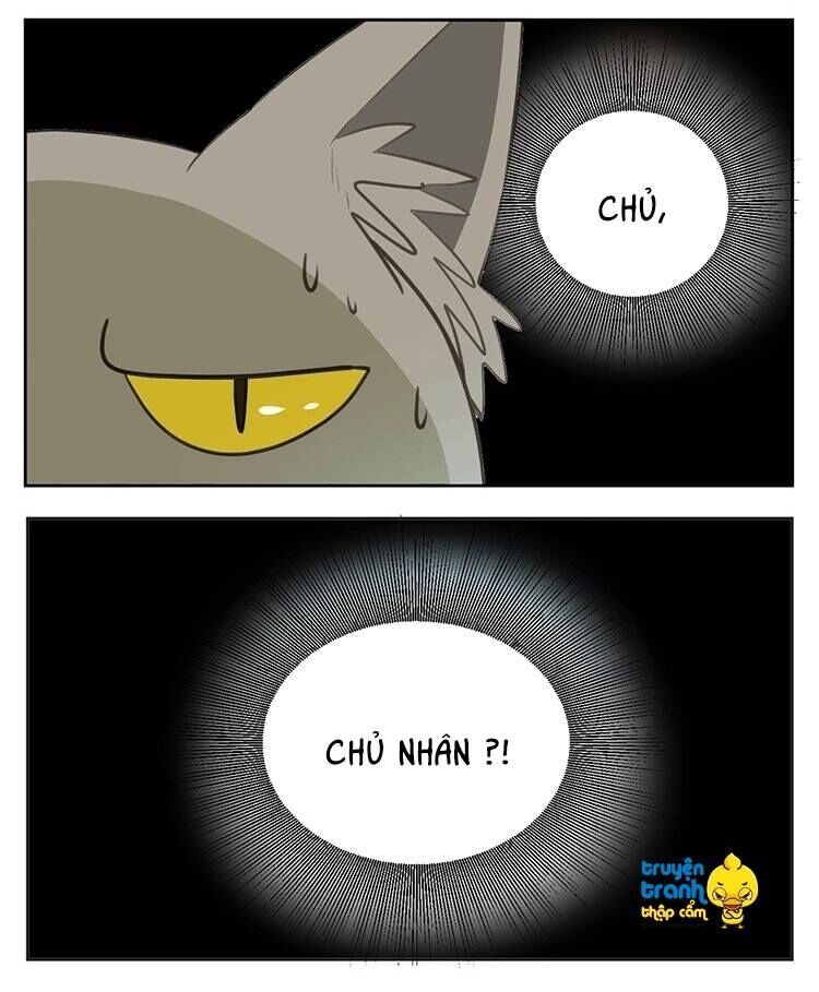 Cứu mạng ! Loài mèo thống trị thế giới rồi !: Chapter 24