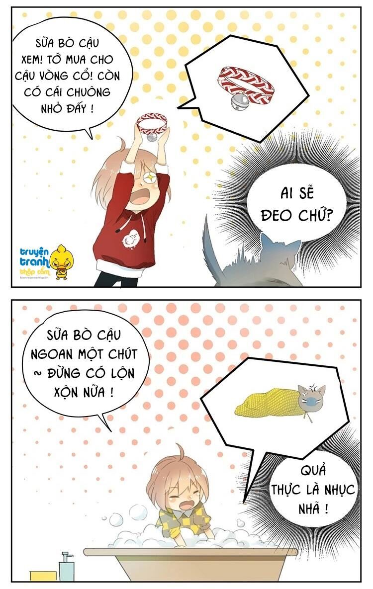 Cứu mạng ! Loài mèo thống trị thế giới rồi !: Chapter 24