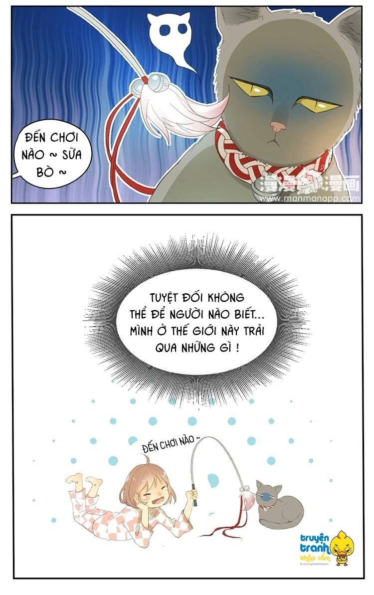 Cứu mạng ! Loài mèo thống trị thế giới rồi !: Chapter 24
