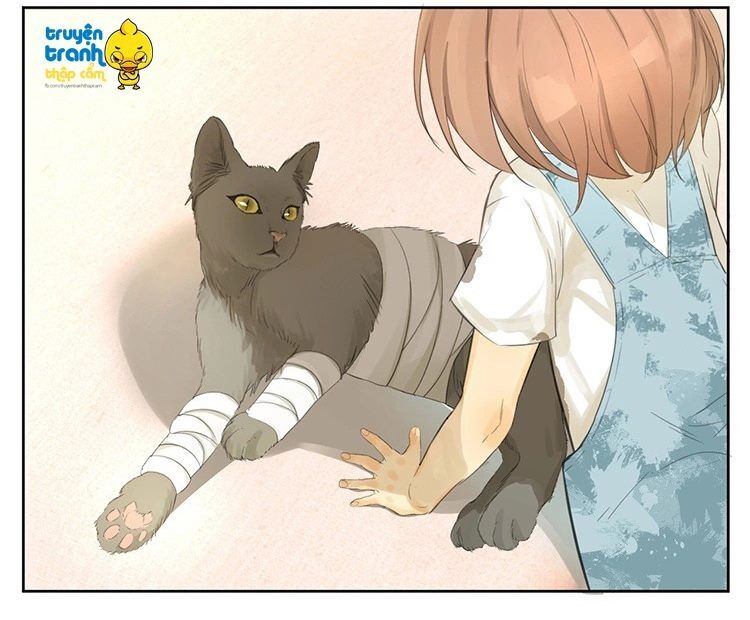 Cứu mạng ! Loài mèo thống trị thế giới rồi !: Chapter 24