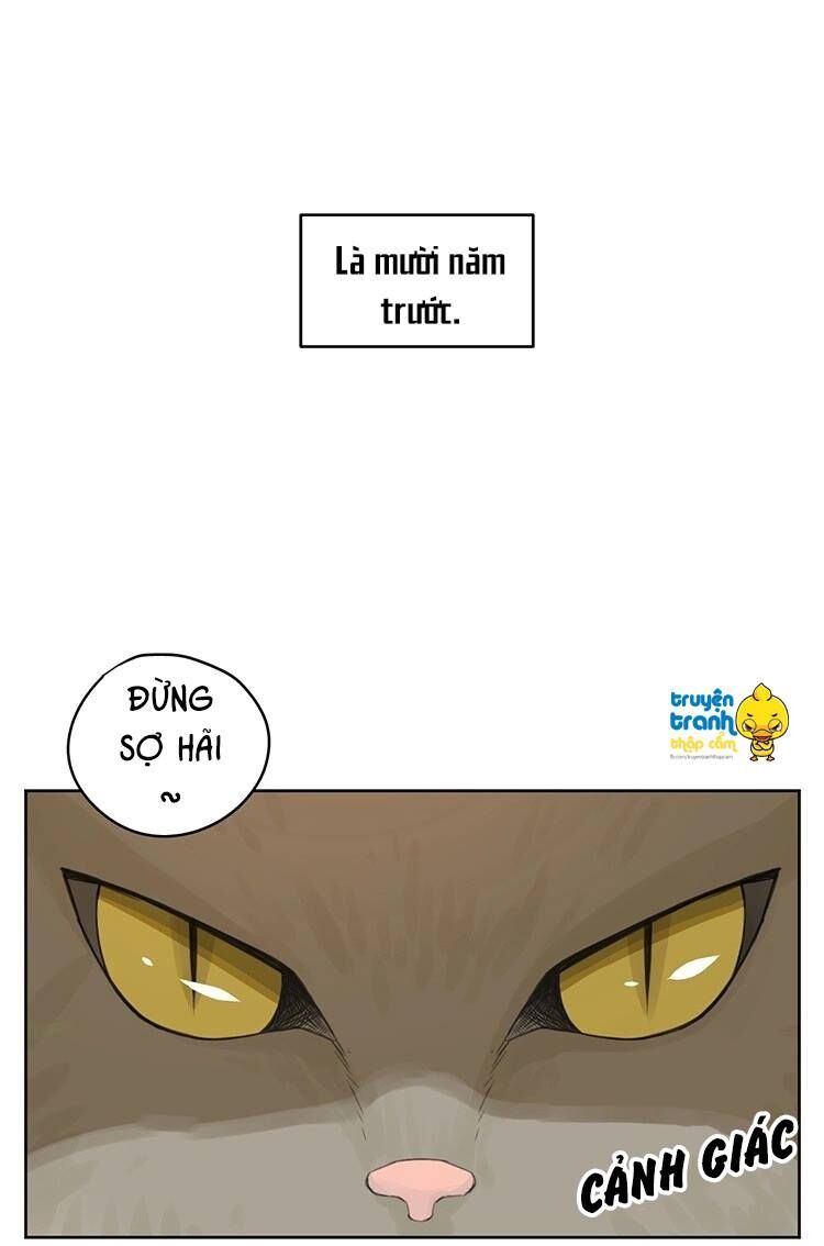 Cứu mạng ! Loài mèo thống trị thế giới rồi !: Chapter 24