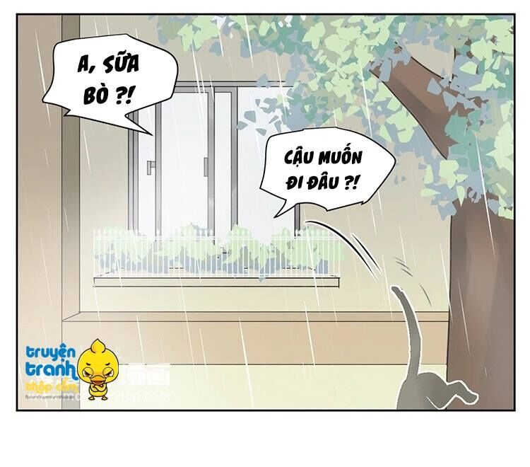 Cứu mạng ! Loài mèo thống trị thế giới rồi !: Chapter 25