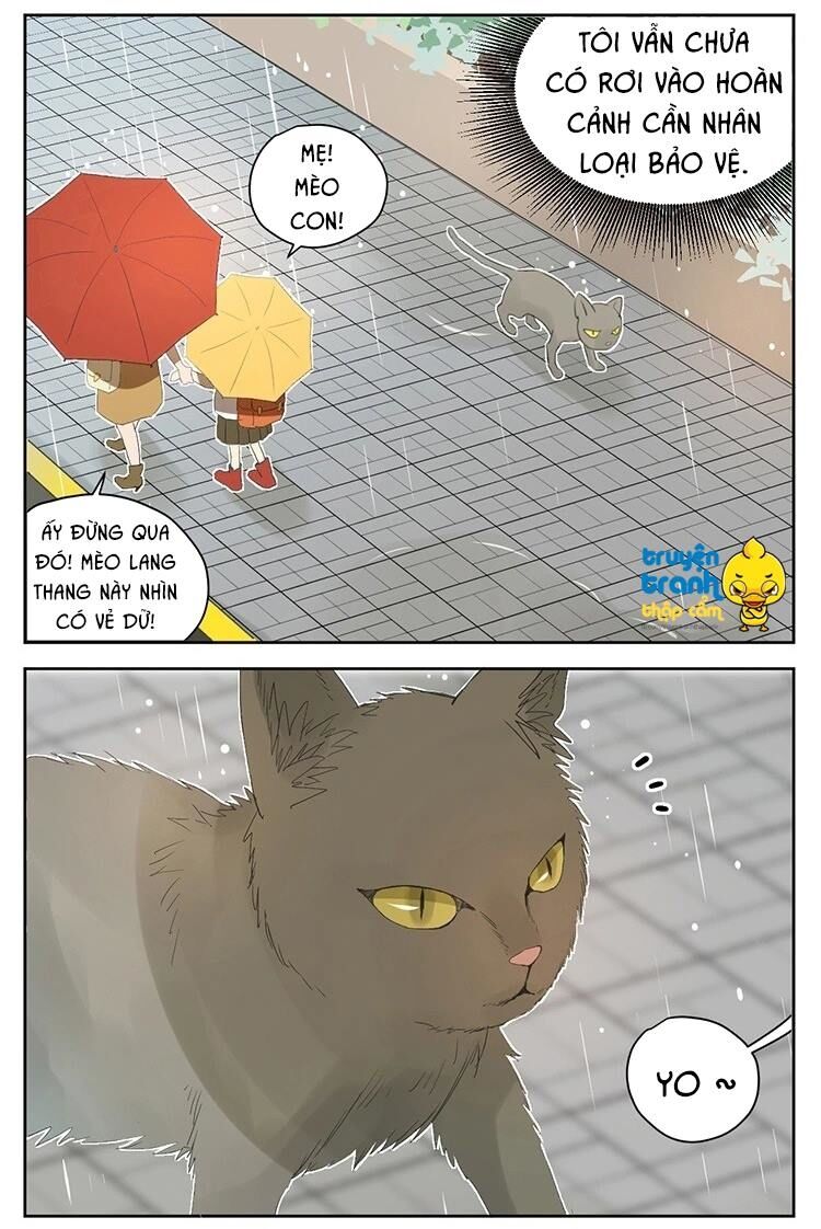 Cứu mạng ! Loài mèo thống trị thế giới rồi !: Chapter 25