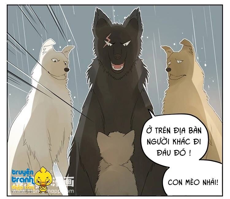 Cứu mạng ! Loài mèo thống trị thế giới rồi !: Chapter 25