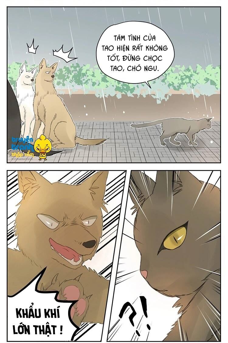 Cứu mạng ! Loài mèo thống trị thế giới rồi !: Chapter 25