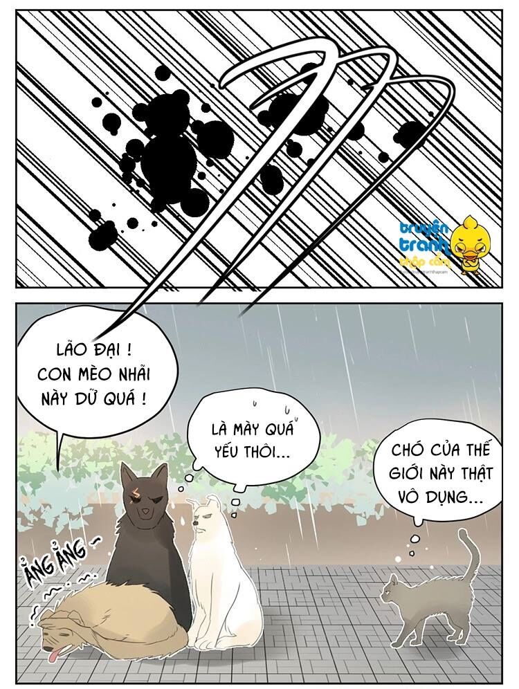 Cứu mạng ! Loài mèo thống trị thế giới rồi !: Chapter 25