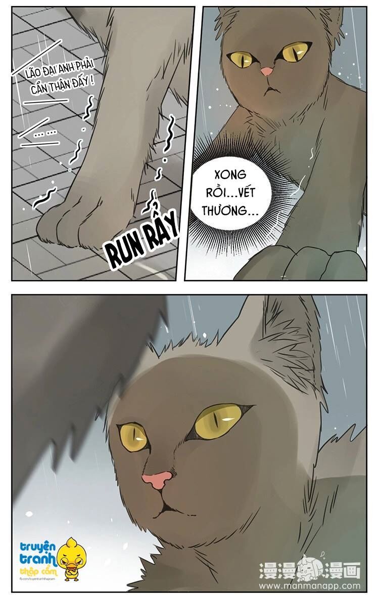 Cứu mạng ! Loài mèo thống trị thế giới rồi !: Chapter 25